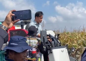 Pemkot Palembang Rombak Pejabat Tinggi, Adrianus Amri Pimpin DPMPTSP