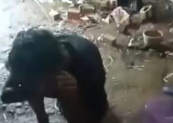 Kisah Pilu Riansyah, Bocah Yatim di Musi Rawas Tinggal di Rumah Nyaris Roboh